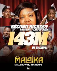 Eight Nollywood Filmmakers Who Surpassed N100 Million in 2024