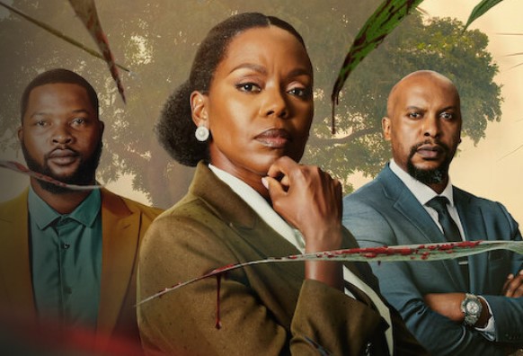 Top Netflix South African Shows and Movies Coming Soon in 2024